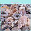 Exquisite 10pcs Geodes Oco Agate Natural Crystals Perfect For Unique Home Decor And Collections