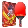 Tenis de masă – Palete tenis de masă