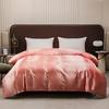 Solid Color Satin Down DuvetCover Luxury Spun Thick Skin Friendly Duvet Cover Single Ded Twin Bed Duvet Cover 200 * 200cm