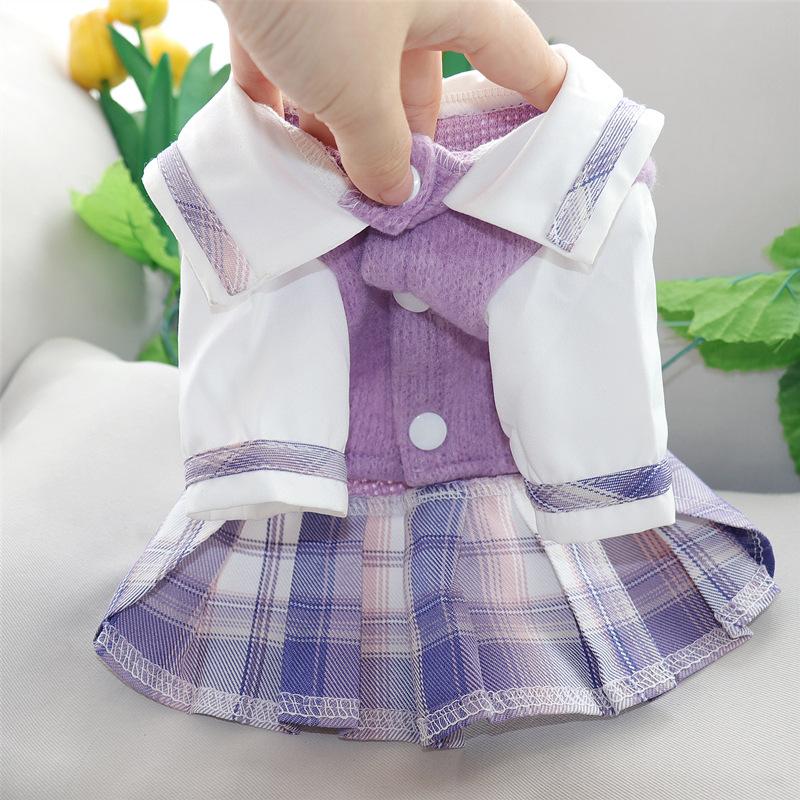 Princess Skirt Puppy Clothes Spring And Autumn Teddy Bichon Pomeranian Schnauzer Small Puppy Pet Autumn And Winter