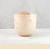Teazen Premium Grain Powder 500g