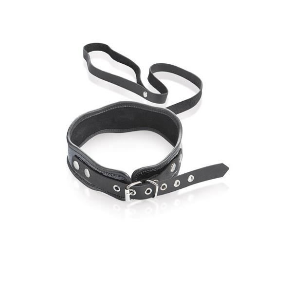 COLLIER ET LAISSE CUIR NOIR