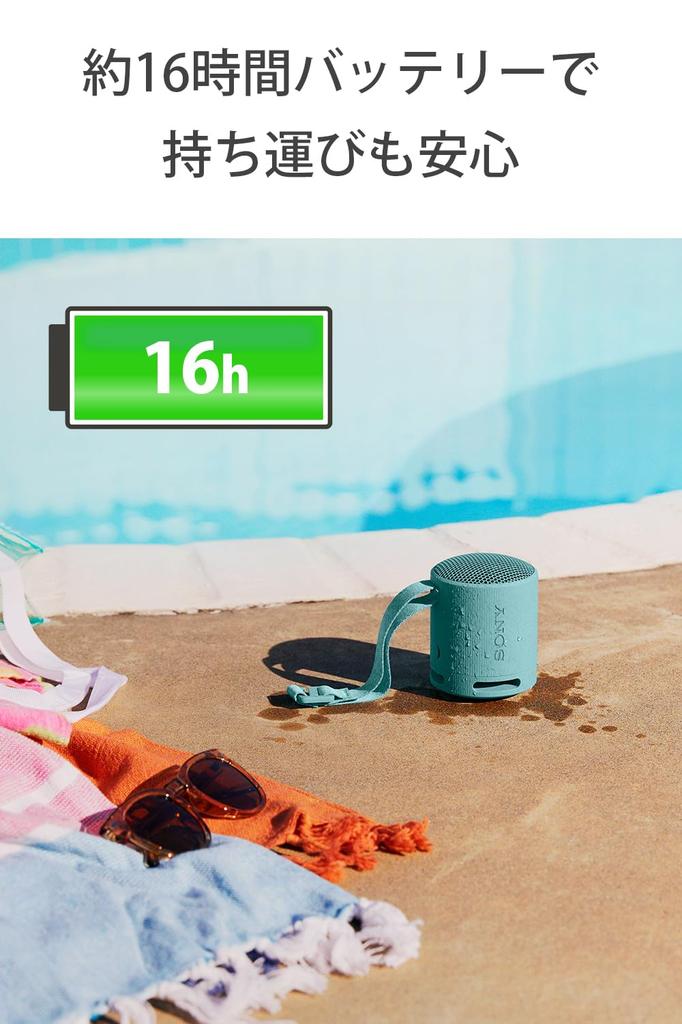 Sony Wireless Speaker Clear Sound with Deep Waterproof and Dustproof Long Battery Life 16 Stereo Pair USB Black SRS-XB100 Bass, (IP67),