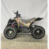 ATV Elettrico da Spiaggia, Motoneve e Veicolo Fuoristrada per Bambini 36V 800W