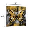 PANEL SZKLANY DO KUCHNI 60x65 Motyl