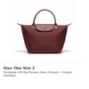 Longchamp Le Pliage Handbags L1621979P87