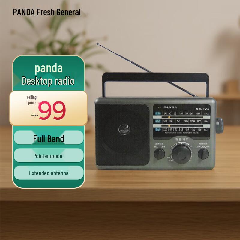 Panda Multi-Band Tischradio mit Medienwiedergabe