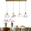 Modern home decor led lights pendant light lamps for living room Chandeliers for dining room hanging light indoor lighting
