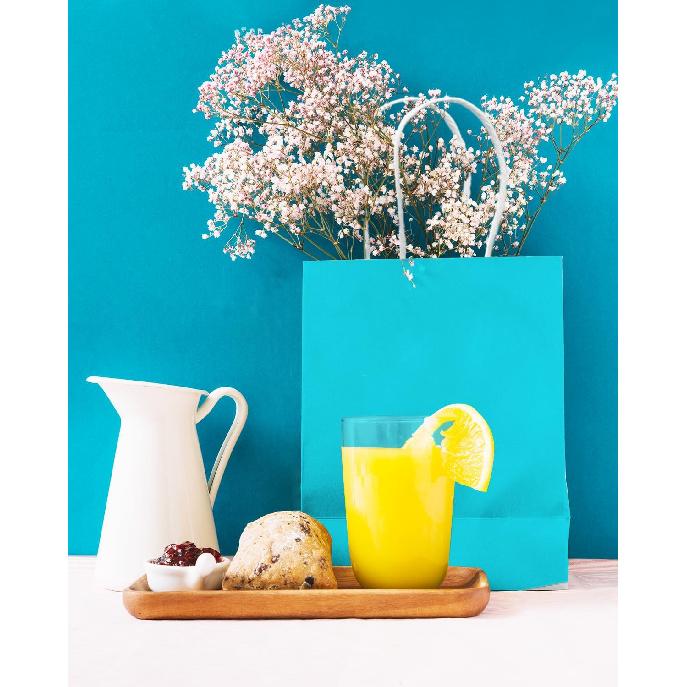 Qiqee 24PCS Medium Gift Bag with Handles Bulk 11"x5"x8" Gift Bags Light Green Bags Multiple Uses (Medium Size)