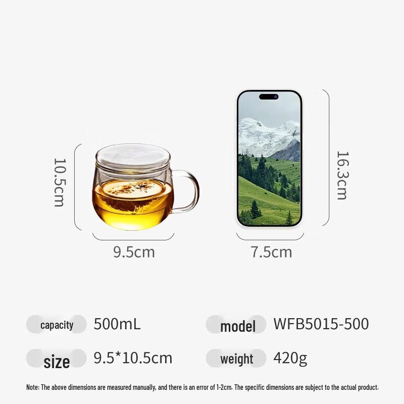 Fuguang 500ml Double-Layer High Borosilicate Glass Tea Infuser Mug