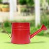 Vintage Iron Watering Can Planter Convenient Metal Container Perfect As a Flower Pots or Office Decoration