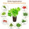 20pcs Sponge Seedling , Rooting Plugs For Seedlings Or Cuttings