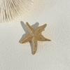 Gouden Kleur Zeester Haarclip Vakantiestijl Eendenbek Haarclip Vakantie Schelp Haarclip Feest