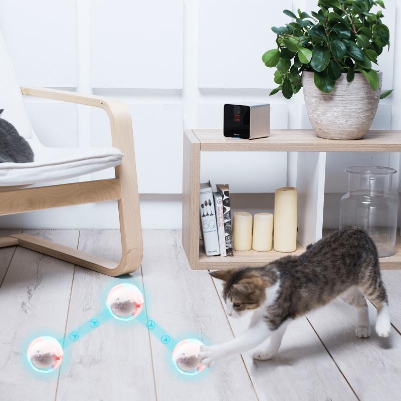 Interactive Cats Toy Ball Automatic Rolling Battery Operated Kitty Toys with Plush Animal Built-in Light for Indoor C