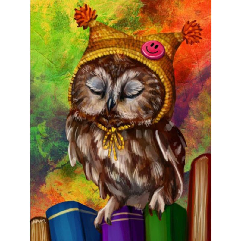 5D DIY Diamant Malerei Zauberhut Eule Diamant Stickerei Kreuzstich Kit voller Strass Mosaik Home Decor
