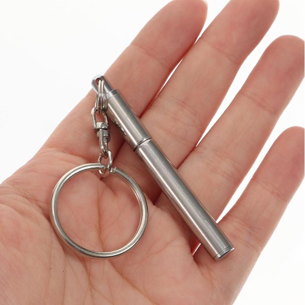 Ciieeo Key Chain Telescopic Pen: Stainless Steel Ballpoint Pens Retractable Pocket Mini Pens Signature Pen with Key Ring for Business Office School