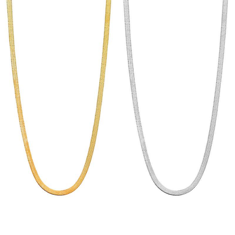 Titanium Steel Snake Bone Necklace - Women's Simple Luxury Clavicle Chain, European & American Versatile Style.