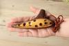 TNG Ocarina Instrument [12 Holes  Soprano C Key  6 Colors Available] Single SC (with Strap) High-Quality Wind Instrument, Glazed Color (Yellow)
