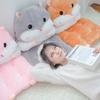 Hamster Cushion Back Office Chair Cushion Sofa Pillow Cushion Home Decoration Tatami Cute Lumbar Support Birthday Gift