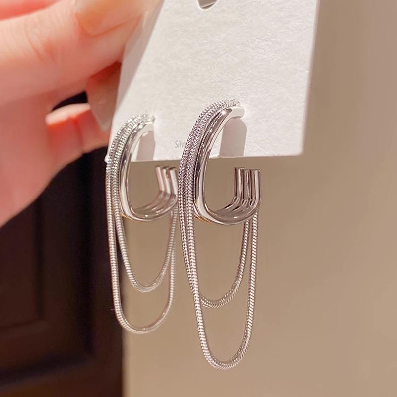 

Silver Needle Geometric Metal Fringed Earrings Cold Wind ins Personality Design Earrings Fashion Temperament Versatile Earrings 925 silver needle