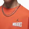 Jordan Logo Print Drop Shoulder Long Sleeve T-Shirt Men Tops Orange DV8429-817