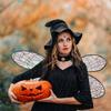 Halloween Costume Fairy Wings Sparkling Women Girls Dragonfly Elf Wings Girls' Costume Accessories for Cosplay, Party, Dress Up