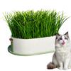 Cat Grass Growing Box Cat Grass Tray Cat Treats Hydroponic Soilless Cat Grass Planting Set Cat Grass Planter Planting Pot