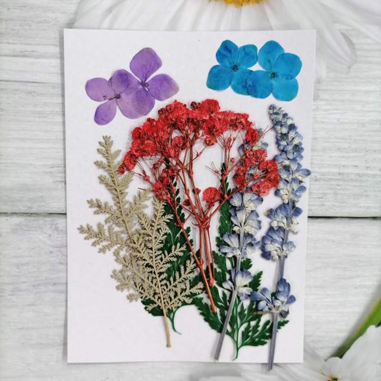 Pressed Dried Flower DIY Kit: Bookmark, Resin, & Phone Case Embossing Materials