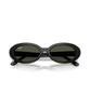 Leibaen Rb2223F Sunglasses - 601/31 / 0Rb2223F60131