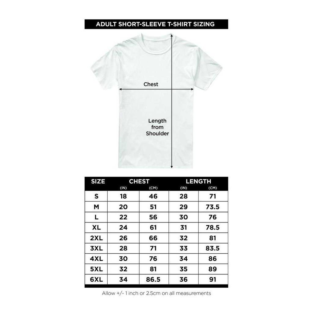 Asterix Unisex Adult Heroic Boxes T-Shirt