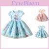 Rochie Prințesă Elsa Frozen Pentru Copii Fete Material Moale Confortabil Perfectă Pentru Petreceri!