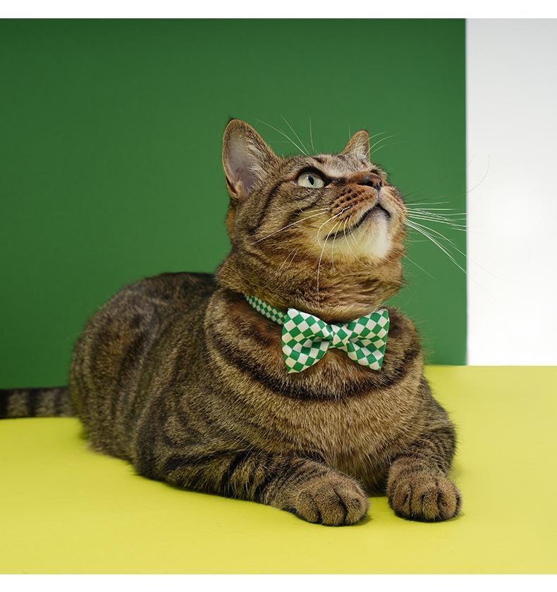 Pohledný kostkovaný límec s motýlkem Zeze Pet – Roztomilá kočičí internetová série celebrit.