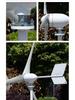 Lingfengda 300W 12V/24V Horizontal Axis Small Wind Turbine