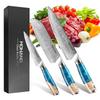 3-Piece Stainless Steel Kitchen Knives Set Japanese Professional Chef Knife with Blue Resin Handle Cooking Knife, Elegant Box