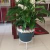 Metal Plant Stands Set for Flower Pot Heavy Duty Potted Holder Indoor Outdoor
