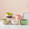 Song Dynasty Matcha Tea Set: Heart-Piercing Bowl, Japanese Whisk & Scoop