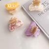 Small Acetic Acid Flower Hair Claw Elegant Flower Hair Crab Clip Fashion French Shark Clip  Women