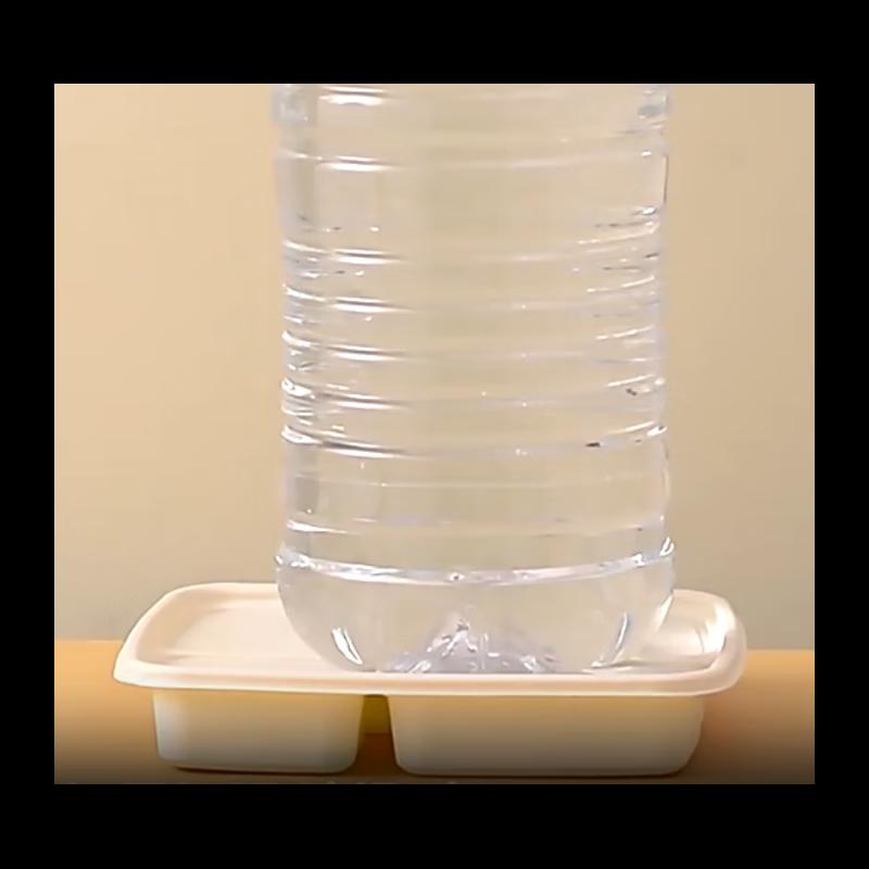 Disposable 6-Compartment Takeout Meal Box