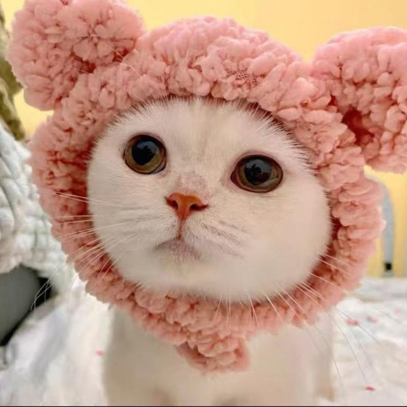 Four Seasons Pet Hat Bear Plush Hood British Short Cute Ears Cat Small Dog Funny Headgear Photo