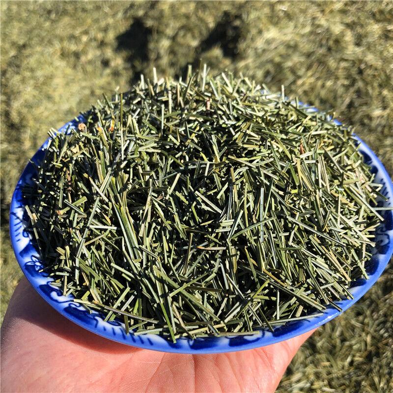 Organic Dried Pine Needle Tea Premium Red Pine Needles Loose Leaf Herbal Tea
