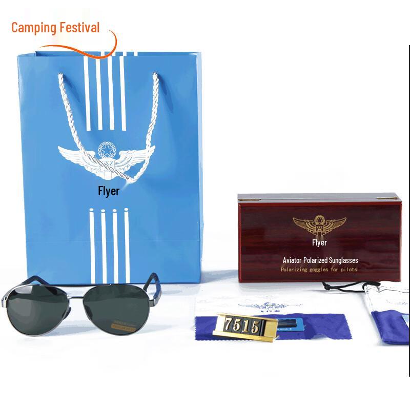 Pilot Polarized Retro Men s Sunglasses