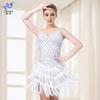 Latin Dance Sequin Fringe Dress Stage Performance Competition Party Costume Women