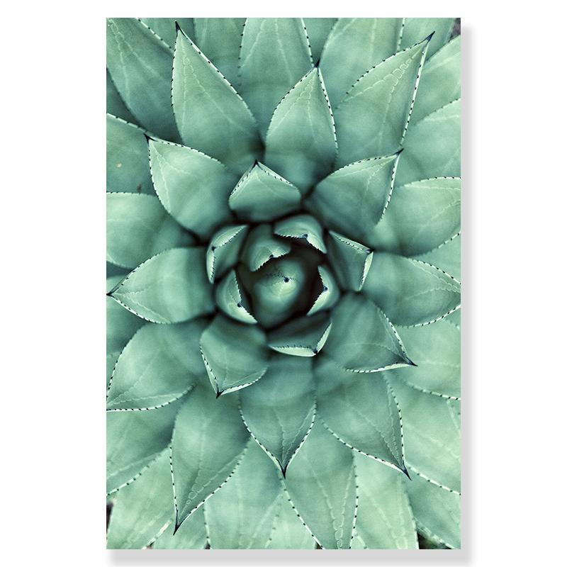 Affiche en toile avec feuilles botaniques vertes, maison nordique, fleur, paysage imprimé, peinture murale, image de plante d'art pour salon et chambre à coucher