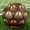 Forest Harp Legend Round Football Size 5 Adult Ball Suitable for Training Matches and Outdoor Team.