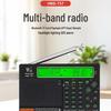 HRD-757 Multi-Band Radio with APP Control, Bluetooth, SOS Alarm & Lighting Receiver
