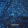 Sequin Bead Embroidery Elastic Mesh Fabric for DIY Sewing Stage Costumes Dress Scarf Clothing Fashion Cloth By The Meter