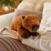 Cute Plush Toy Soft Stuffed Animal Cuddly Huggable Gift for Kids and Adults