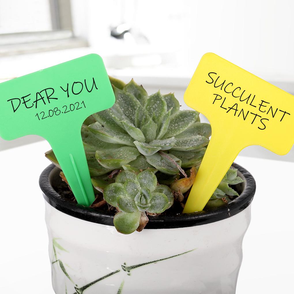 3 Stück T-förmige Pflanzenmarkierer Etiketten Wasserdichte Tags Gartenetiketten Baumschule