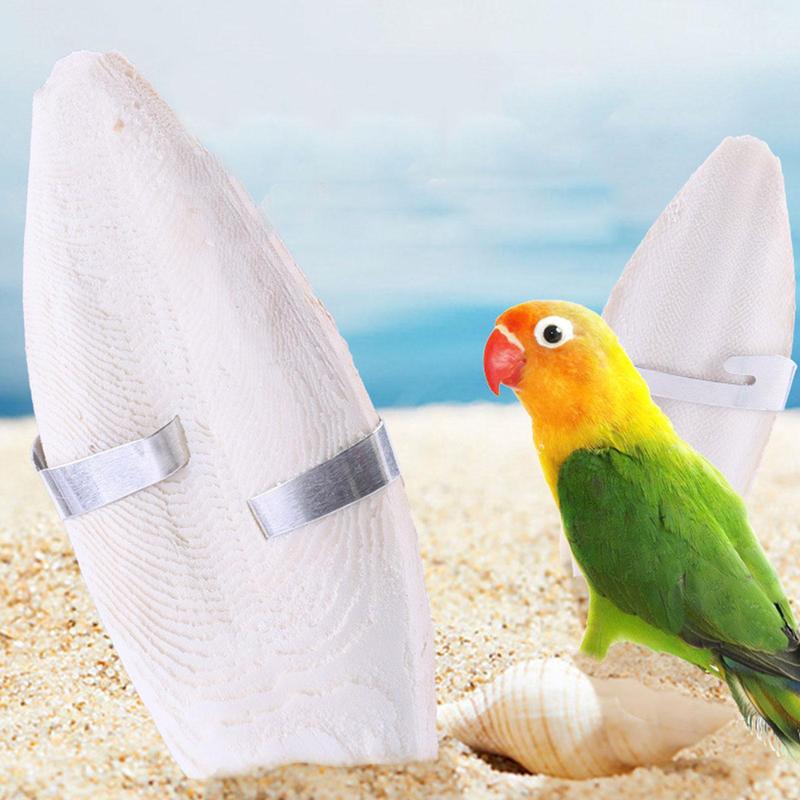 Cuttle Bone Natural Bird Cuttlebone Bird Sharp Beaks Cuttlefish Bone Cuddle Bone Toy Chew Toys For Cockatiel Macaw