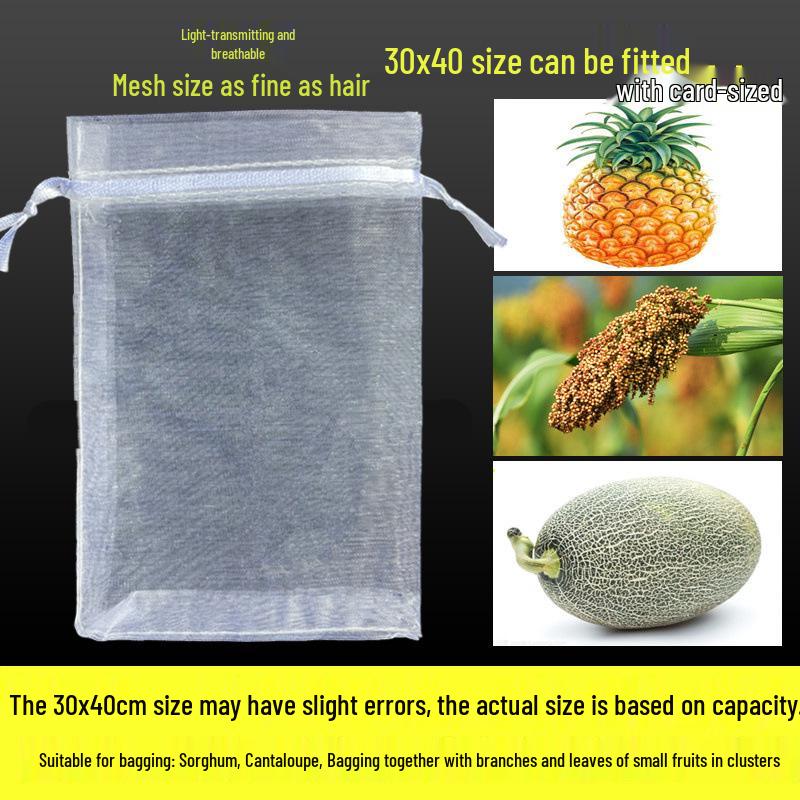 Fruit Tree Bagging: Insect & Bird Proof Mesh Covers for Strawberries, Figs, Pomegranates, Grapes, and Tomatoes
